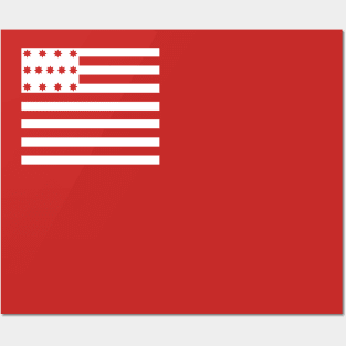 Brandywine Flag Posters and Art